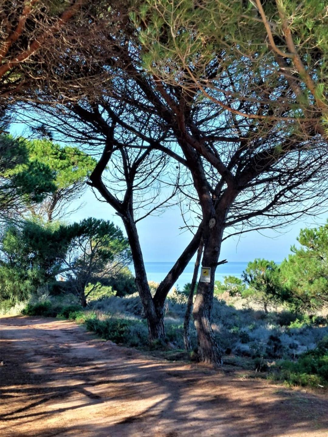 Appartamento Calarossa Sardegna Casarosa Изола Роса Екстериор снимка